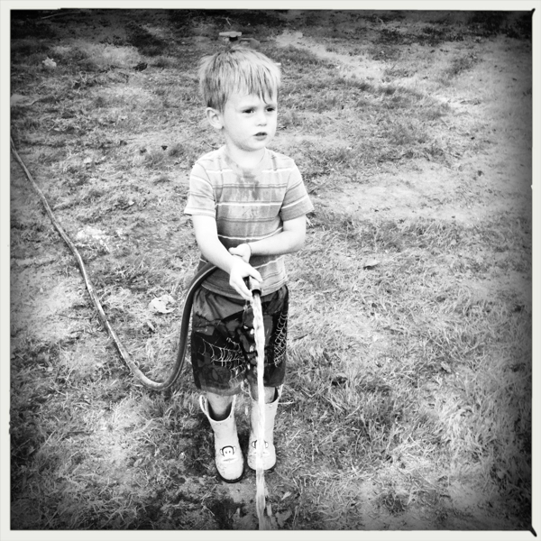 Hip 335570569.177194