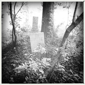 Hip 331489457.950386