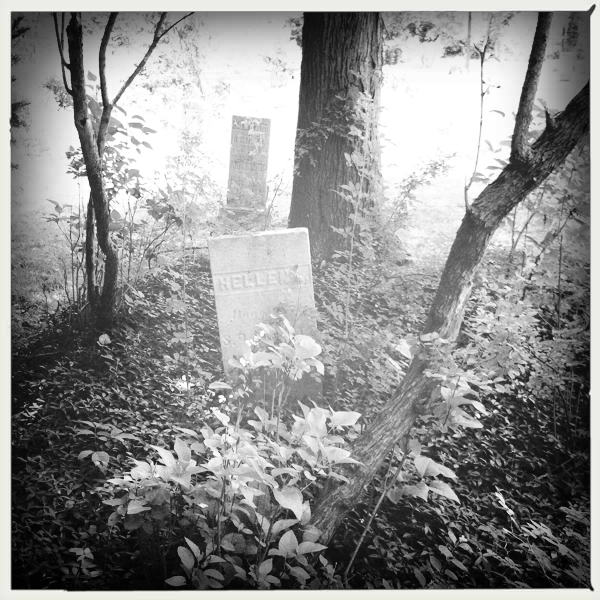 Hip 331489457.950386