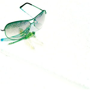 Hip 336167966.158298