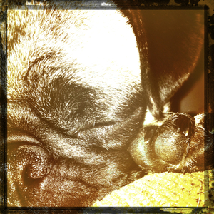 Hip 336170759.829096