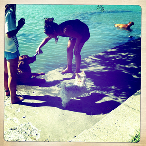 Hip 336170182.373085