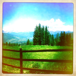 Hip 334779981.362515