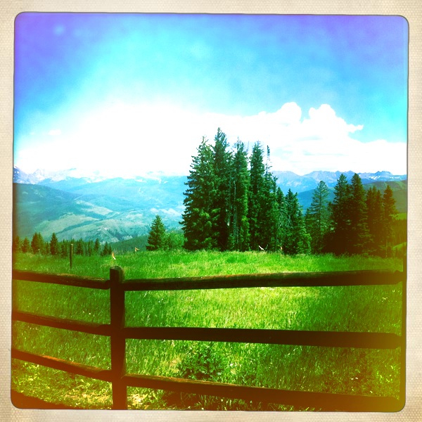 Hip 334779981.362515