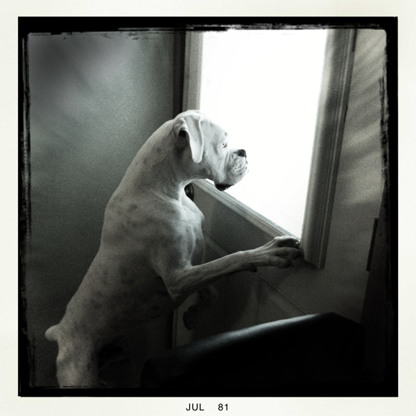 Hip 333508723.602563