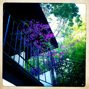 Hip 329007071.827841