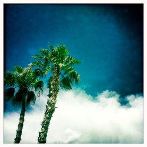 Hip 336087036.648697