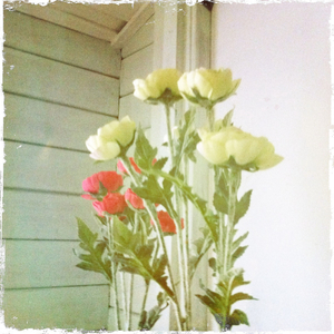 Hip 336153622.169320