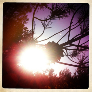 Hip 335635374.722977