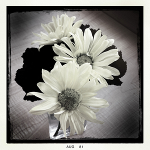 Hip 335644039.385008