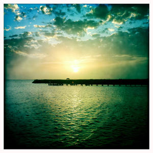 Hip 336007476.232342