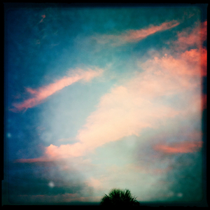 Hip 335232970.393226