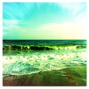 Hip 336089209.044068