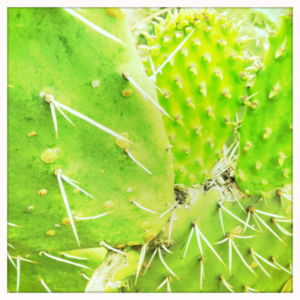 Hip 328475883.319195