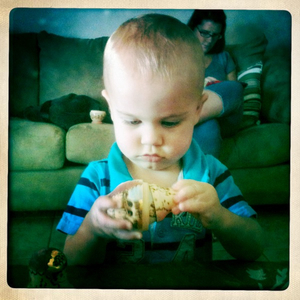 Hip 334350907.003024