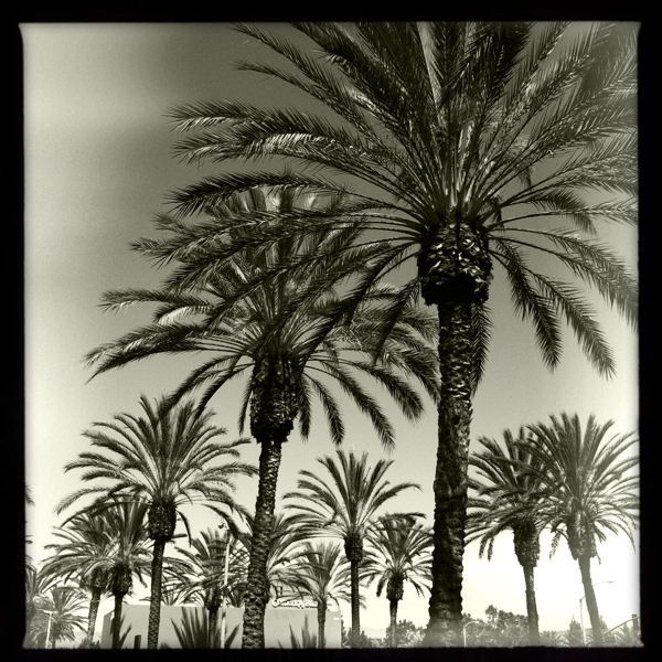 Hip 336173413.344446