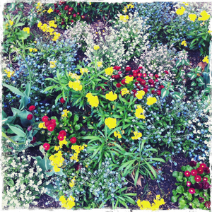 Hip 326027461.781897