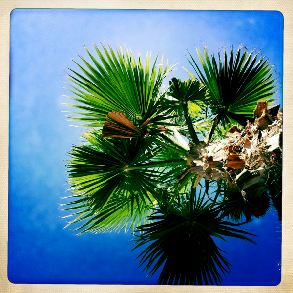 Hip 328660494.463871