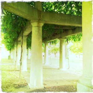 Hip 335058999.069839