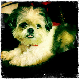 Hip 336184862.298848