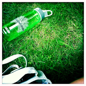 Hip 334352331.166986