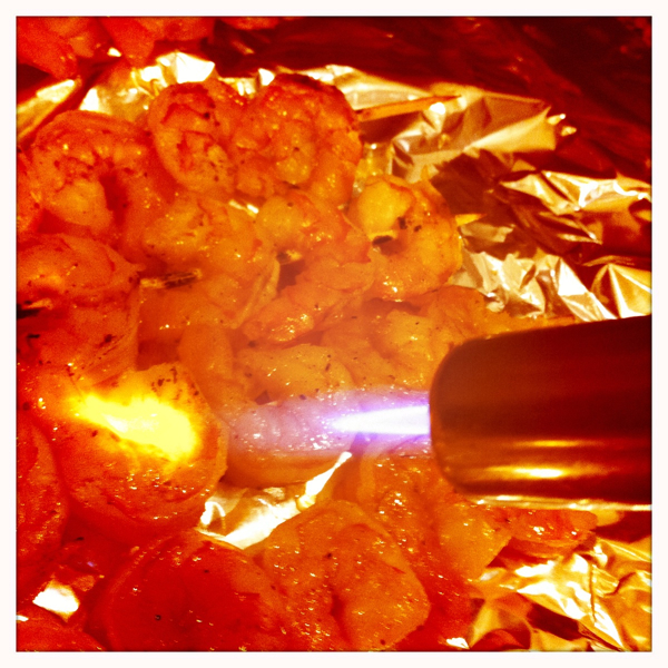 Hip 336108872.217960