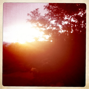 Hip 336187856.881946