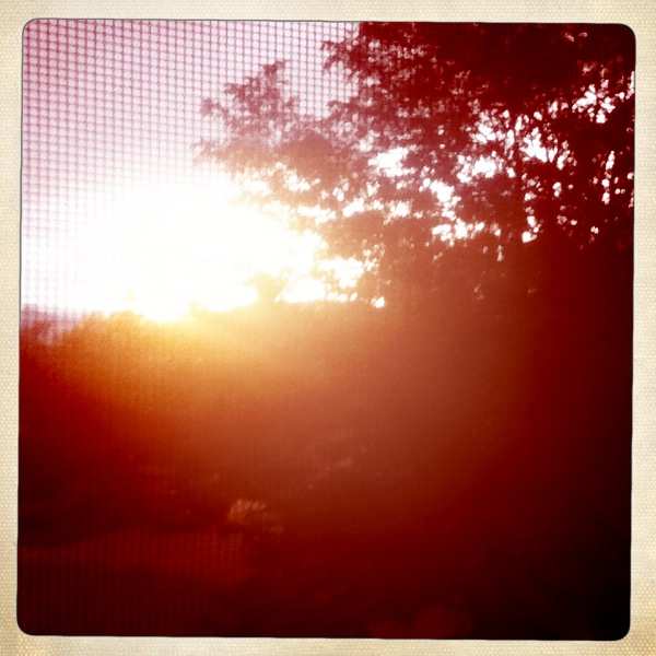 Hip 336187856.881946