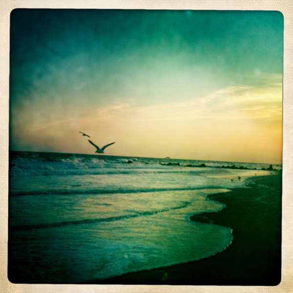 Hip 335920713.367807