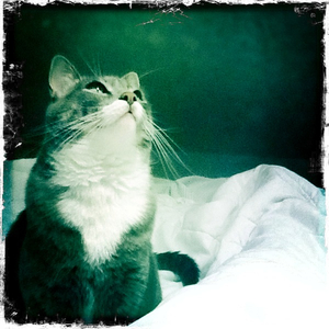 Hip 334802408.528765