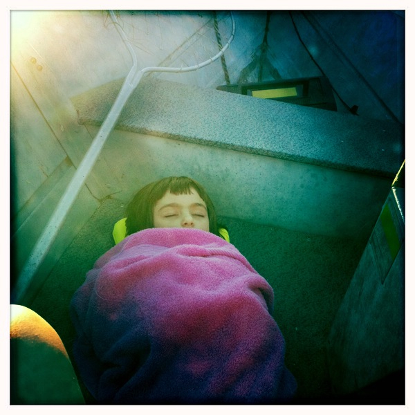 Hip 336190146.554911