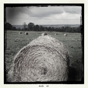 Hip 334179834.956389