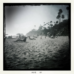 Hip 336180849.720570