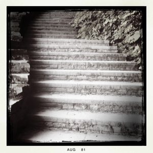 Hip 334013906.855750