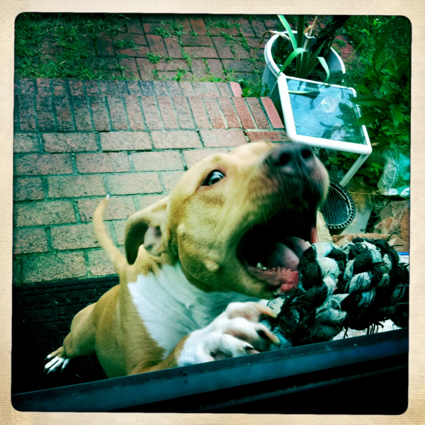 Hip 336165167.149429