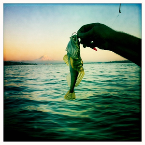 Hip 336192728.557282