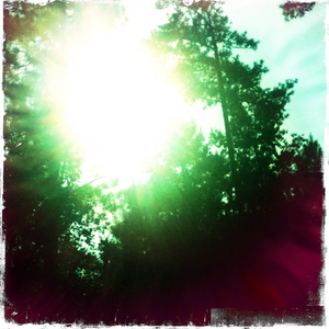 Hip 334015285.216044