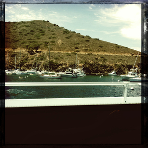 Hip 335307836.359255