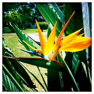 Hip 332718584.375283