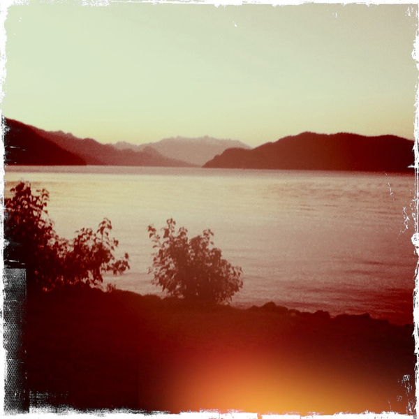 Hip 336192695.446645