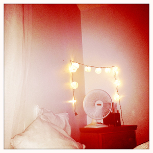 Hip 336197458.192824