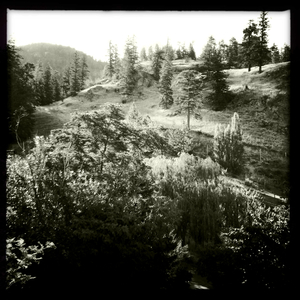 Hip 333472340.232505