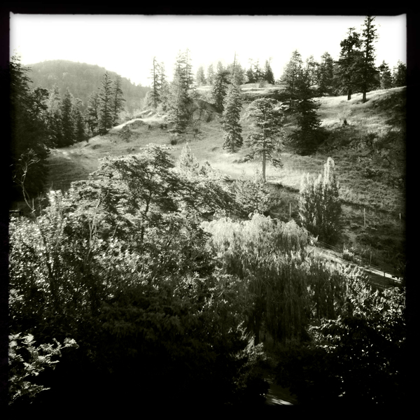 Hip 333472340.232505