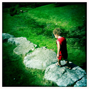 Hip 336160908.410451