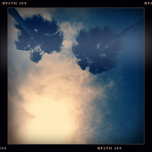 Hip 334176307.259392