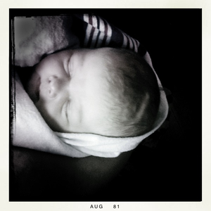 Hip 336155072.844792