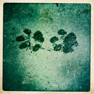 Hip 336150533.498436