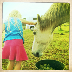 Hip 318796087.128435