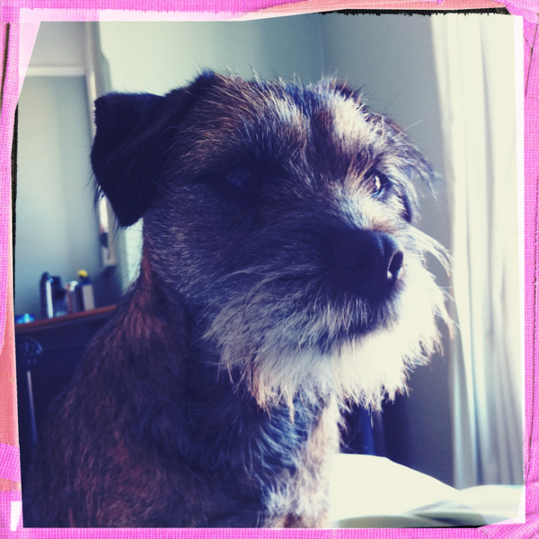 Hip 336212199.968914