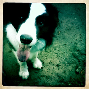 Hip 336159315.748385